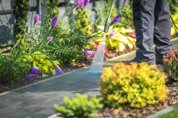 Best Pre-Holiday Cleaning  in Paintsville, KY